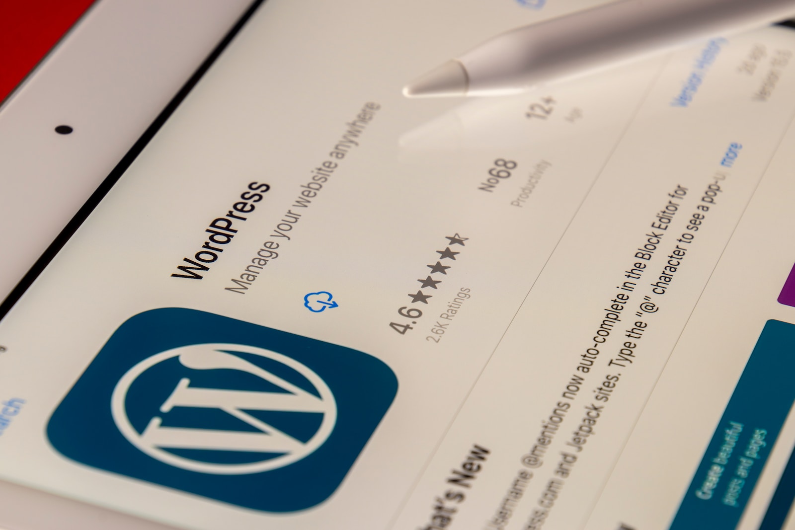 wordpress alternative