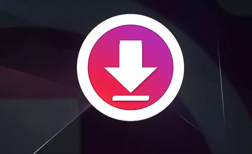 Kako besplatno preuzeti bilo koji video sa interneta? Snapinsta